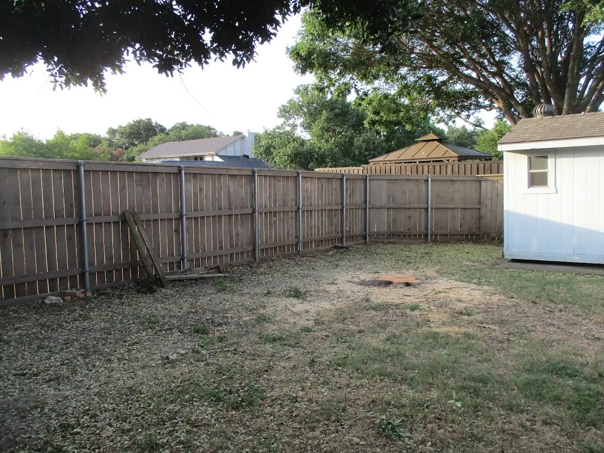Cleared yard after professional tree removal in Quasqueton